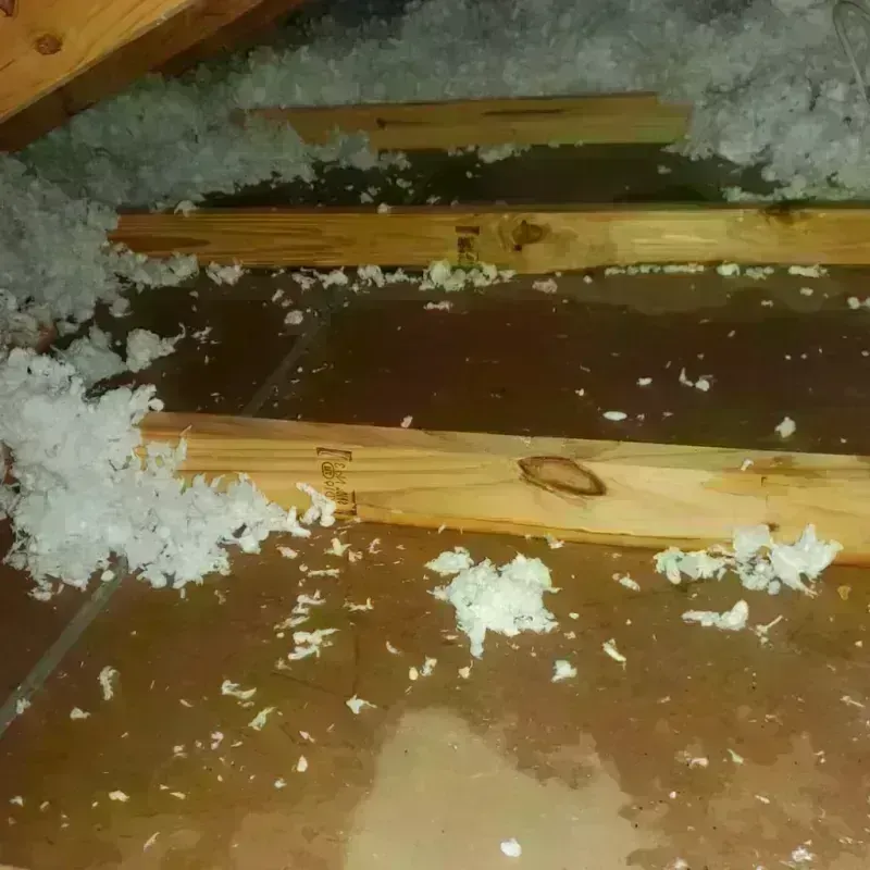 Attic Water Damage in Crosby County, TX