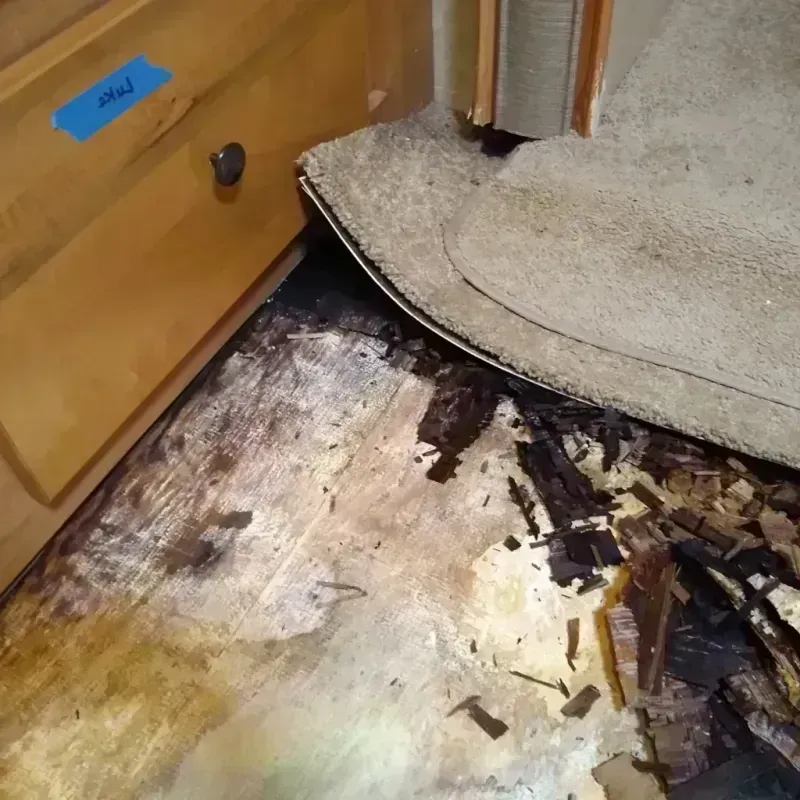 Wood Floor Water Damage in Crosby County, TX